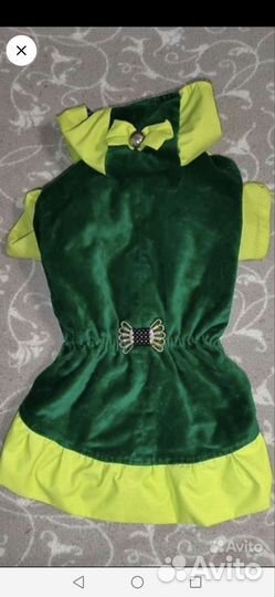 Кофточки для маленькой собачки, дождевик, платье