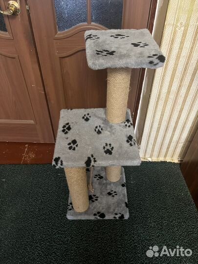 Когтеточка