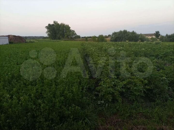 Дом 26 м² на участке 37 сот.