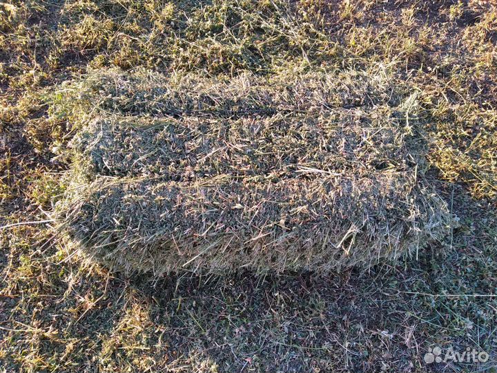 Сено в тюках с доставкой