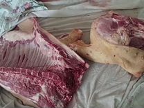 Продам мясо свинины 270 за кг