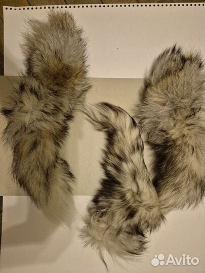 Хвосты степного волка