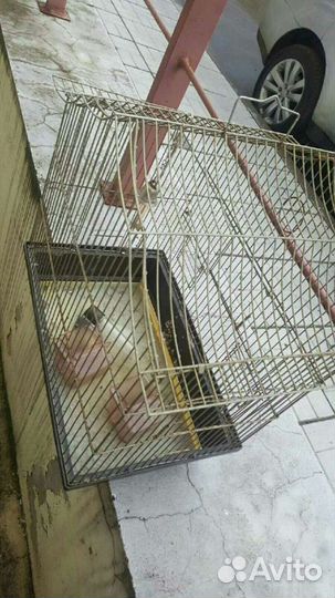 Клетка попугая/хомяка