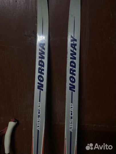 Беговые лыжи tisa, nordway, karhu