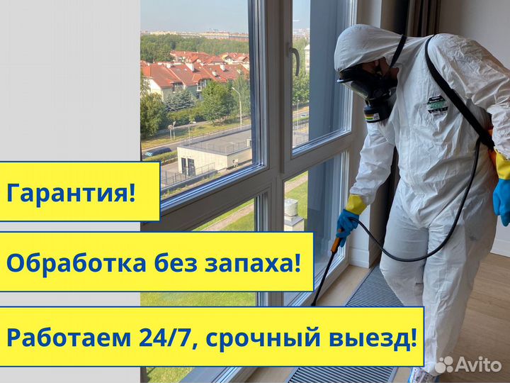 Обработка от клещей Уничтожение клопов Дезинфекция