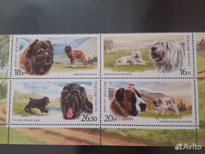 Почтовые марки, Собаки, Россия