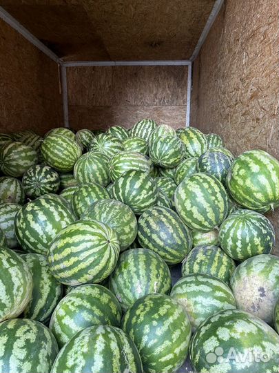 Корм для животных