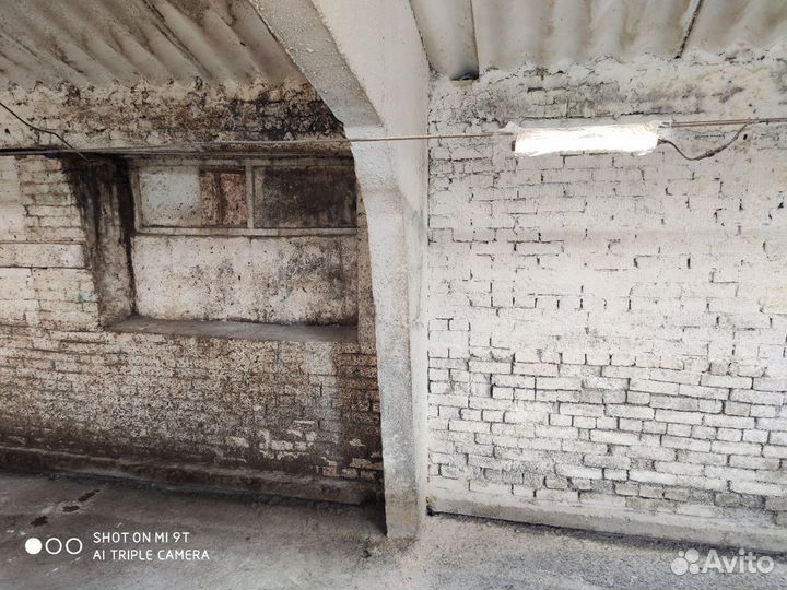 Побелка известью(дезинфекция)