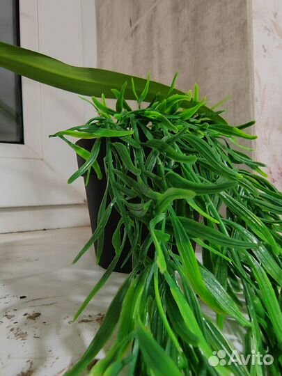 Искусственные растения в горшках