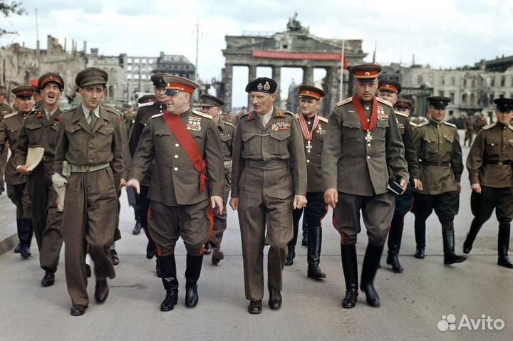 Кружка Фельдмаршал Монти Royal Doulton 15см фарфор