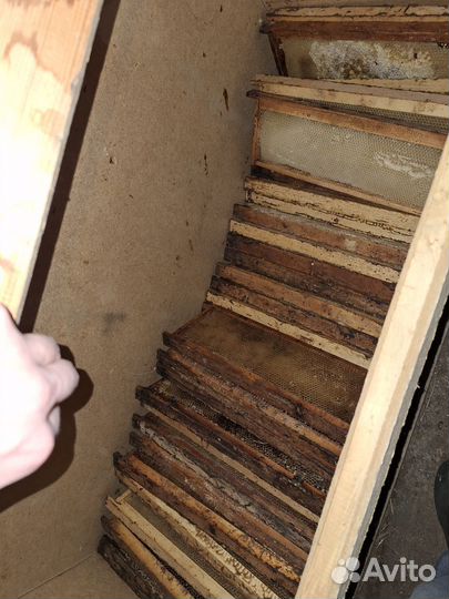 Рамки с вощиной, сушью