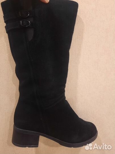 Сапоги женские зимние из натуральной замши