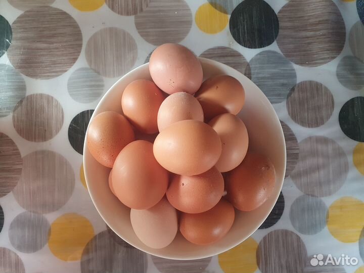 Домашние куриные яйца
