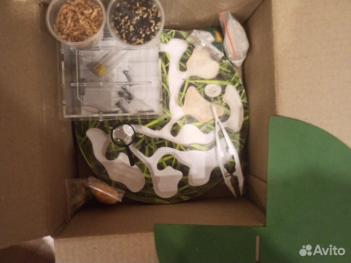 Формикарий - муравьиная ферма с комплектом