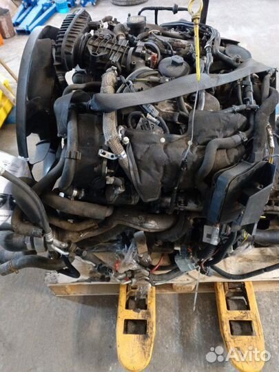 Двигатель Land Rover Discovery 3 276 DT 2007