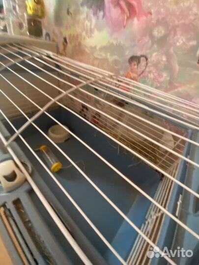 Клетка для кролика большая