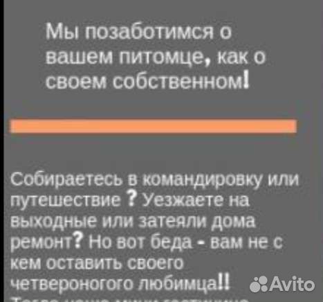 Передержка домашних животных. Гостиница