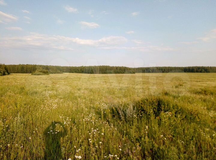 Участок 19,5 сот. (ИЖС)