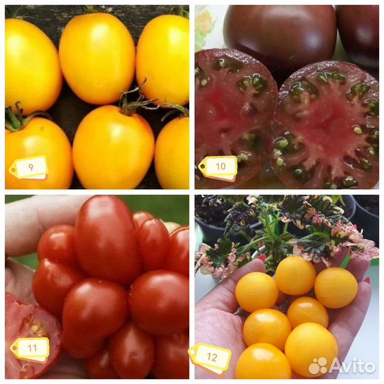 Семена томатов