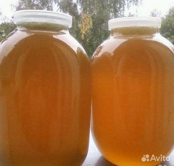 Мед натуральный цветочный сбор 2023г