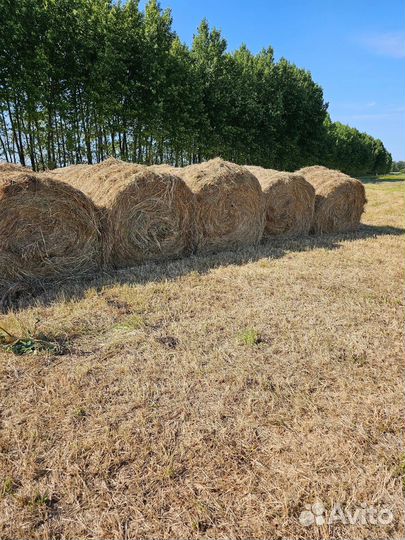 Сено луговое в рулонах