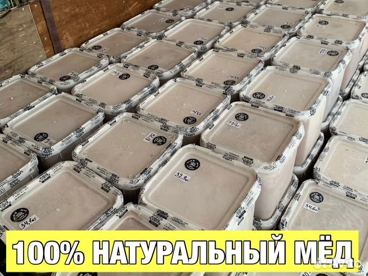 Мёд Алтайский опт