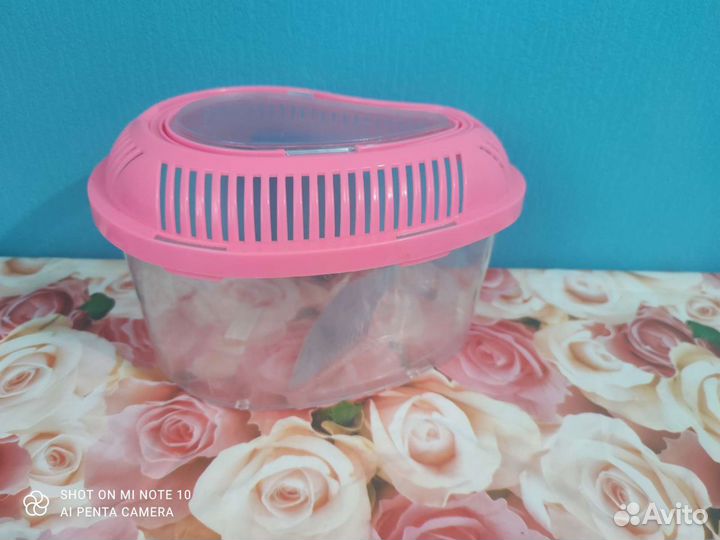 Переноска для черепах или рыбок