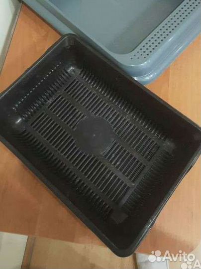 Лоток для кошек