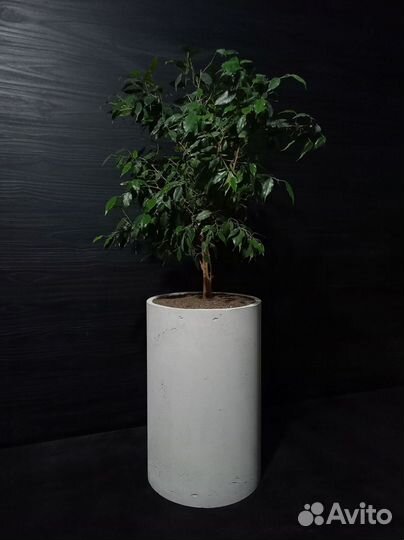 Горшки, Вазоны, Кашпо под заказ из бетона арт 174