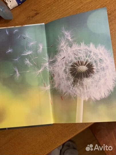 Игра с огнем анна джейн