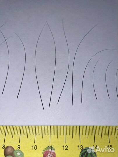 Кошачьи усы