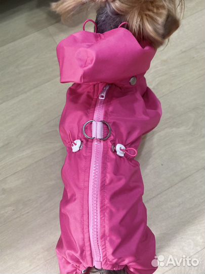 Ветровочный комбинезондля собаки,шью на заказ