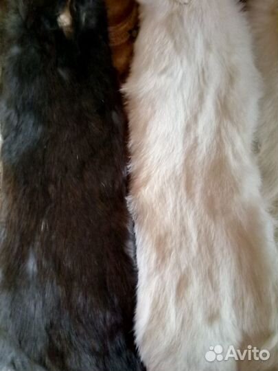 Шкурки кроличьи