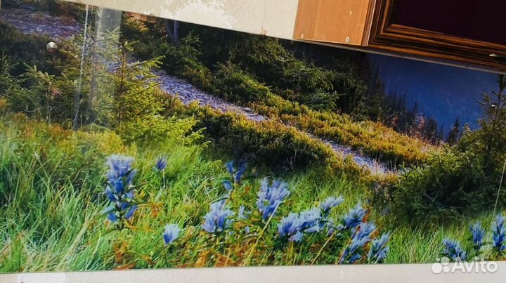 Фартук для кухни стеклянный