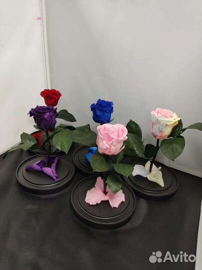 Роза в колбе оптом и в розницу