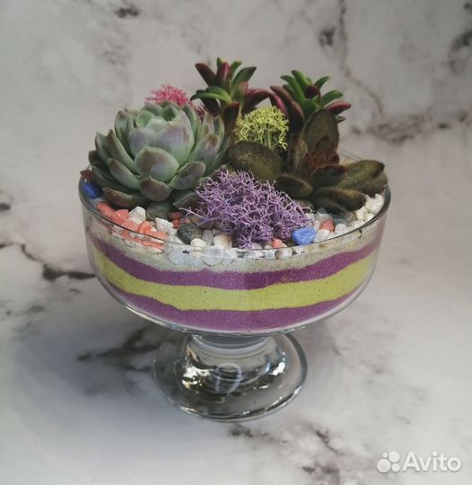 Подарок женщине, флорариум