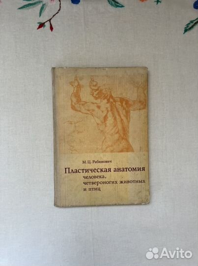 М. Ц. Рабинович Пластическая анатомия человека, че