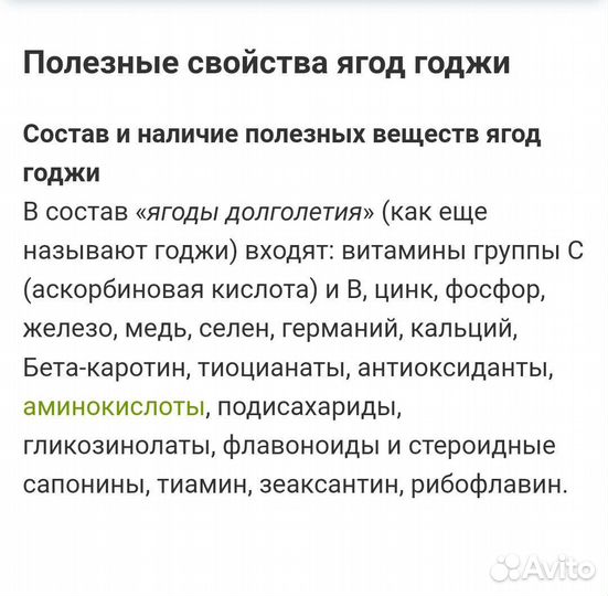 Годжи саженцы