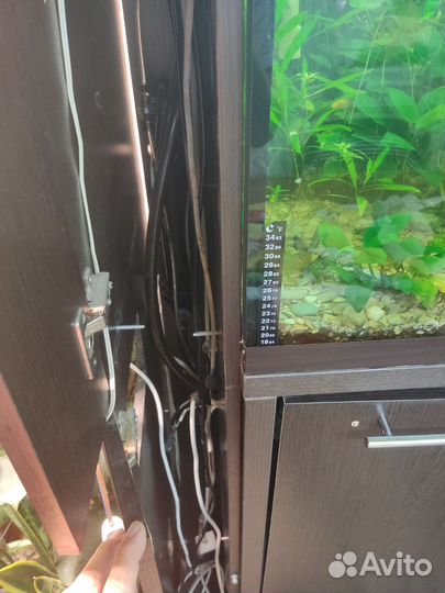 Аквариум с тумбой 500 литров