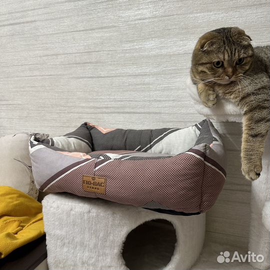 Лежанка для кошек и собак