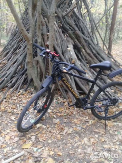 Forward Hardi 26 2.0 disk (2020)