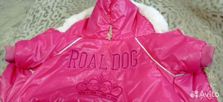 Одежда для собак