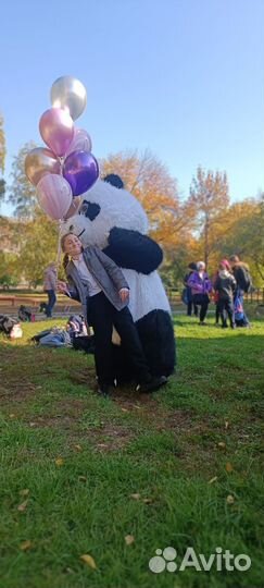 Гигантский Мишка,праздник,шары