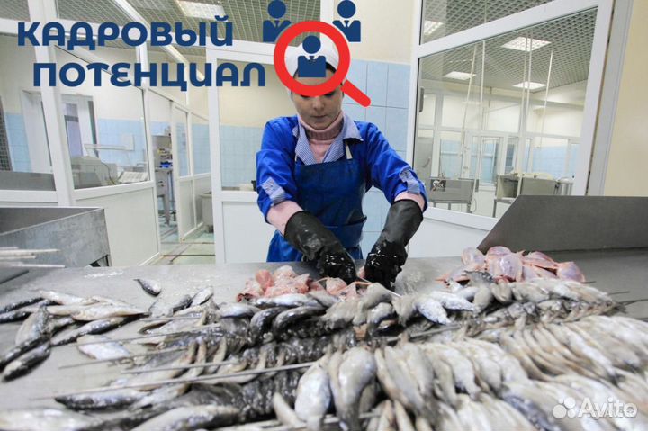 Работа. Упаковщица в цех морепродуктов