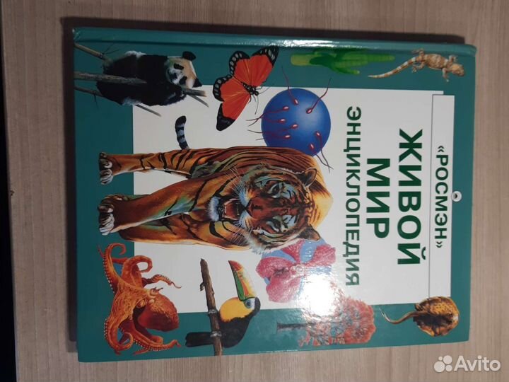 Энциклопедия