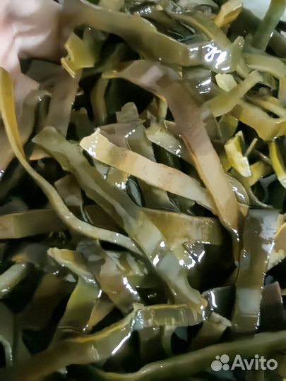 Ламинария сушеная Россия