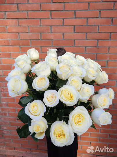 Роза Садовая ароматная Канделайт букет