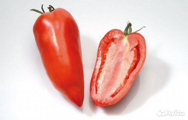 Томат Корнабель и сортовые семена томатов