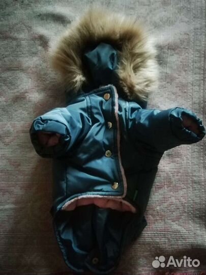 Зимняя куртка для маленьких собак