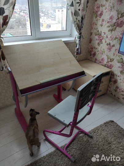 Растущая парта стул Дэми